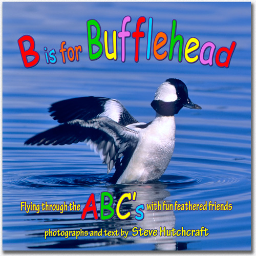 Kids ABC Book,Bird Photography